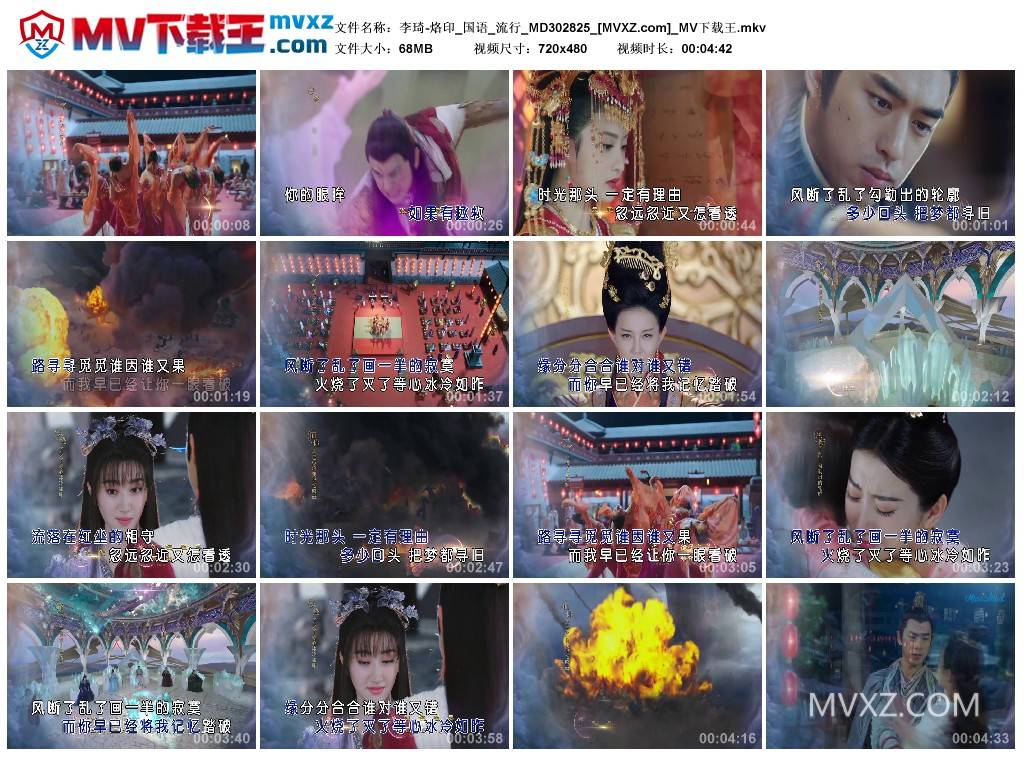 李琦-烙印_国语_流行_MD302825